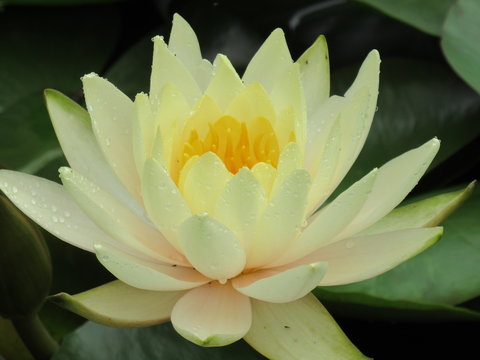彩票中奖的喜悦