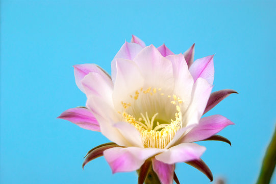 幸运飞艇官方网站